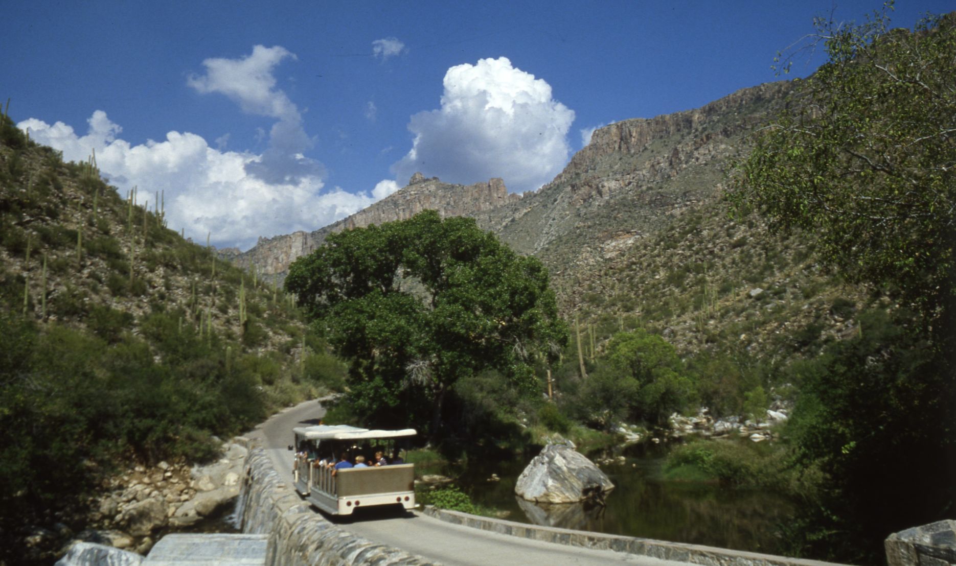 Sabino Canyon in 1981